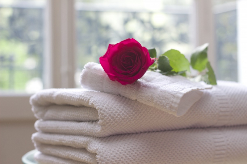 chambre-hote-COLLONGUES-min_towel_rose_clean_care_salon_spa_white_bath-731641